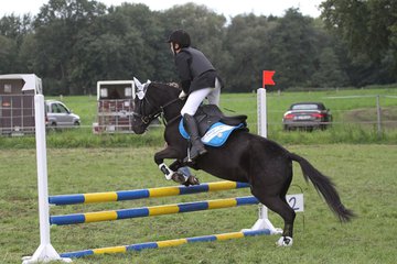 Bild 1374 - WBO-Turnier am 18.9.11
